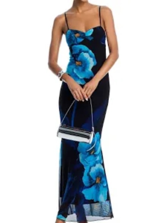 Aqua Dresses & Skirts - Aqua Floral Mesh Maxi Dress blue
